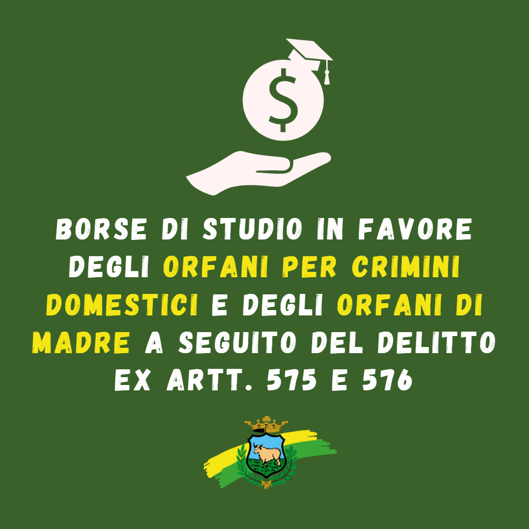 Borse di studio in favore degli orfani per crimini domestici e di reati di genere e alle famiglie affidatarie