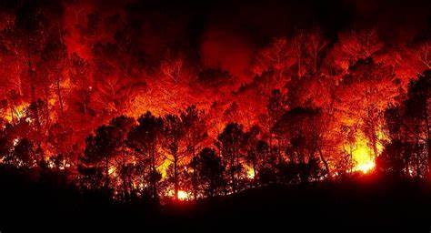 Preallerta pericolo incendio